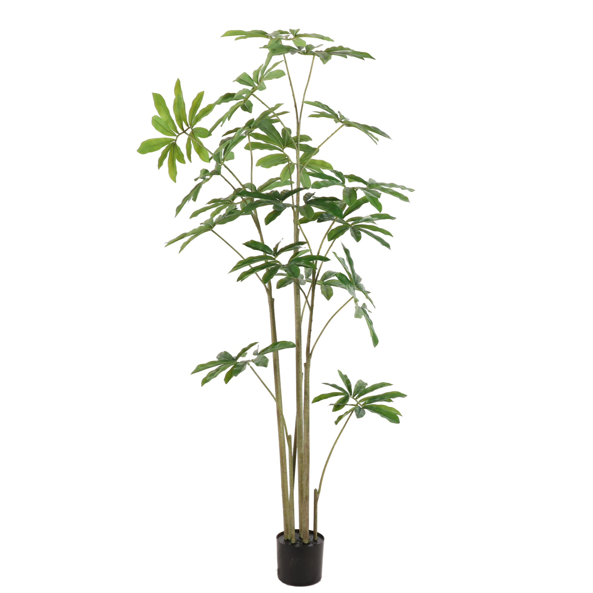 NeverLeafs Philodendron kunstplant 180 cm